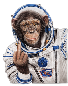 Space Monkey