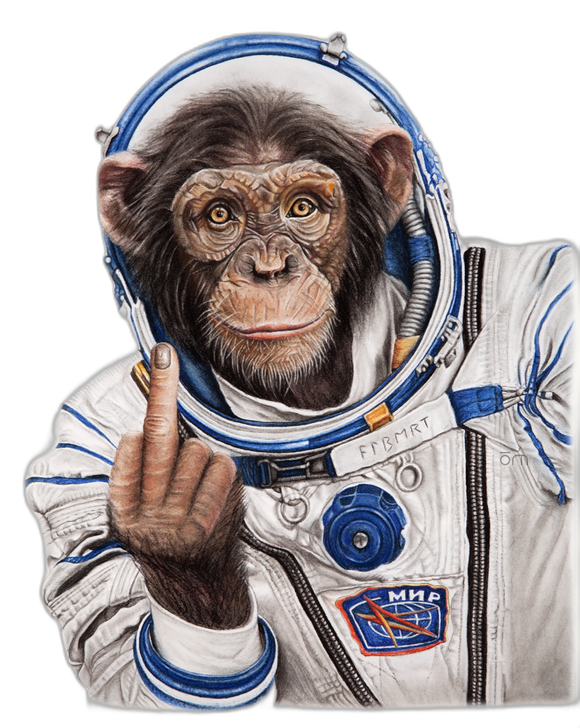 Space Monkey