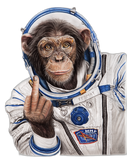 Space Monkey